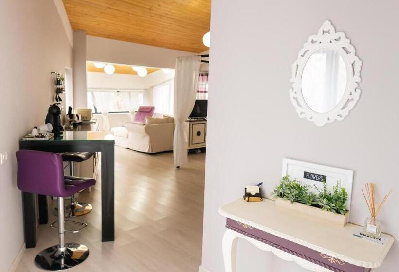 Студия Стандарт, Chic Studio