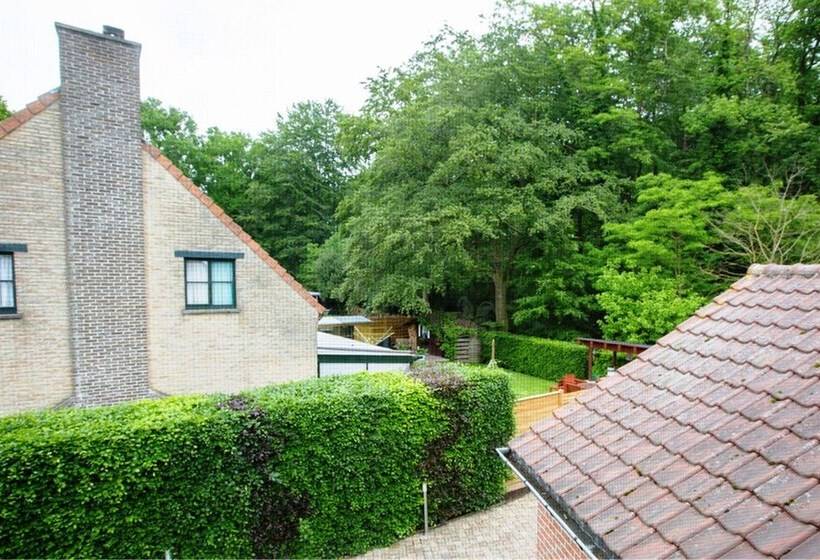 Номер Стандарт, B&b Woodside