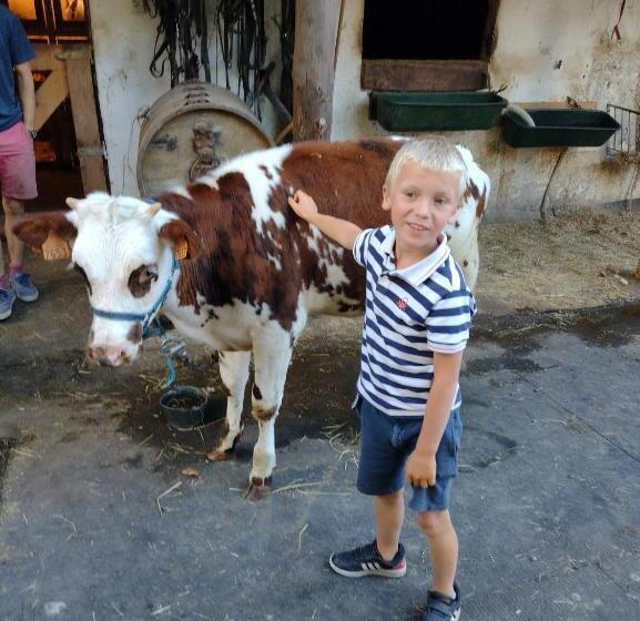 Дом 1 Спальня, Moulin De Moxhe Micro Gîte Et Gîte   Bed & Dreams