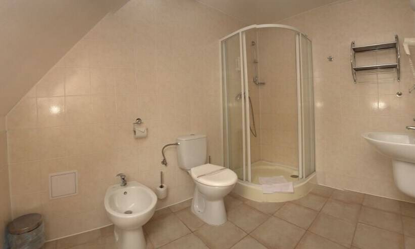 Номер Стандарт Трехместный, Wellness Hotel Harrachovka