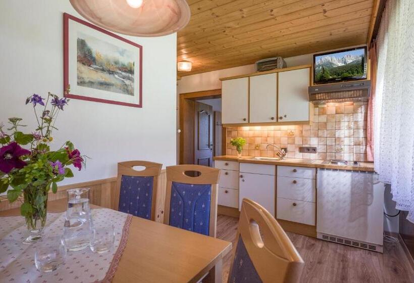 Апартаменты 2 Спальни, Otto Steiner Appartements Pension Ellmau & Wilder Kaiser