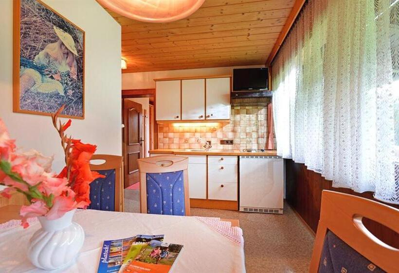 Апартаменты 2 Спальни, Otto Steiner Appartements Pension Ellmau & Wilder Kaiser