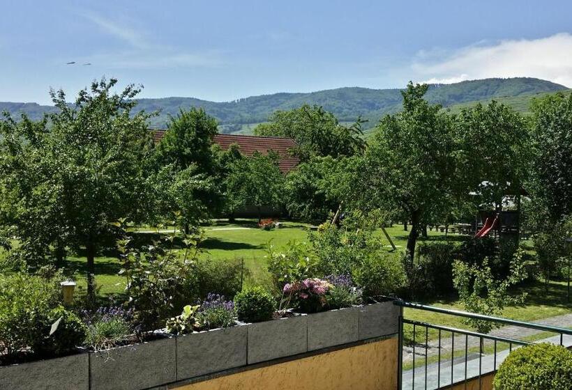 テラス付スイート, Donauwirt   Hotel Garni