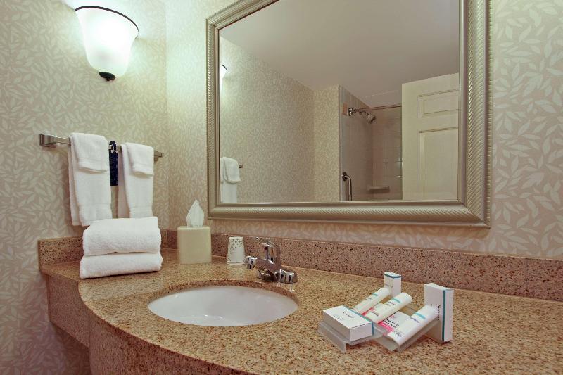 스탠다드 룸 킹사이즈 침대, Hilton Garden Inn Chesapeake/greenbrier
