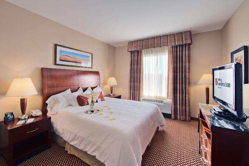 اتاق استاندارد با تخت بزرگ, Hilton Garden Inn Laramie