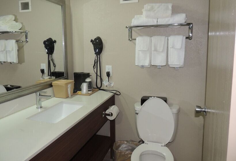 Номер Стандарт 2 Двуспальные Кровати, Quality Inn