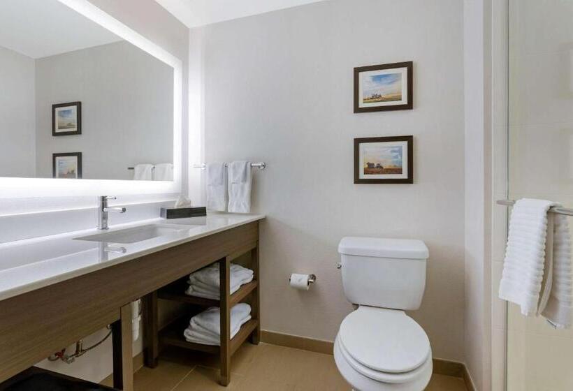 Люкс Кровать Кинг, Comfort Inn