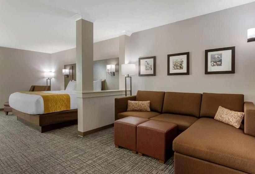 Люкс Кровать Кинг, Comfort Inn