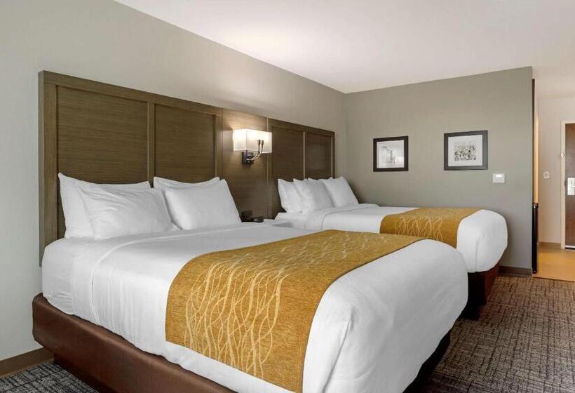 Номер Стандарт Адаптированный для Инвалидов, Comfort Inn