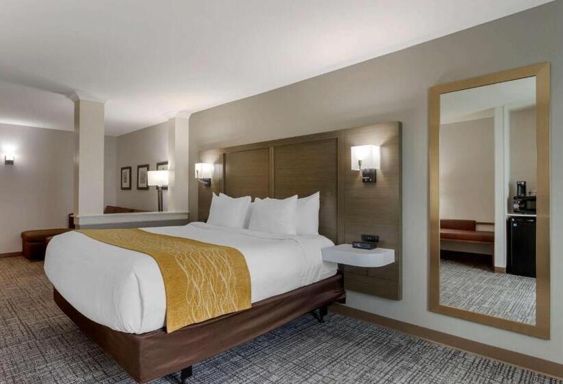 Люкс Адаптированный для Инвалидов, Comfort Inn