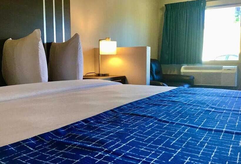 Стандартный Номер Кровать Кинг, Travelodge Inn & Suites By Wyndham Missoula University Park