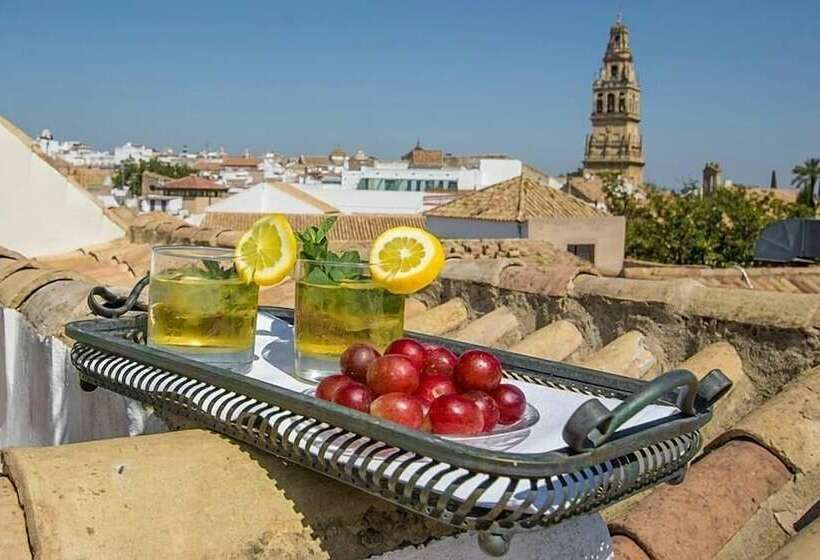 اتاق پنت هاوس, Las Casas De La Judería De Córdoba