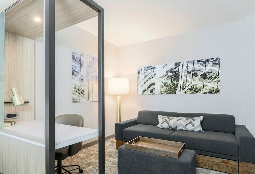 スイート, Springhill Suites By Marriott San Jose Fremont