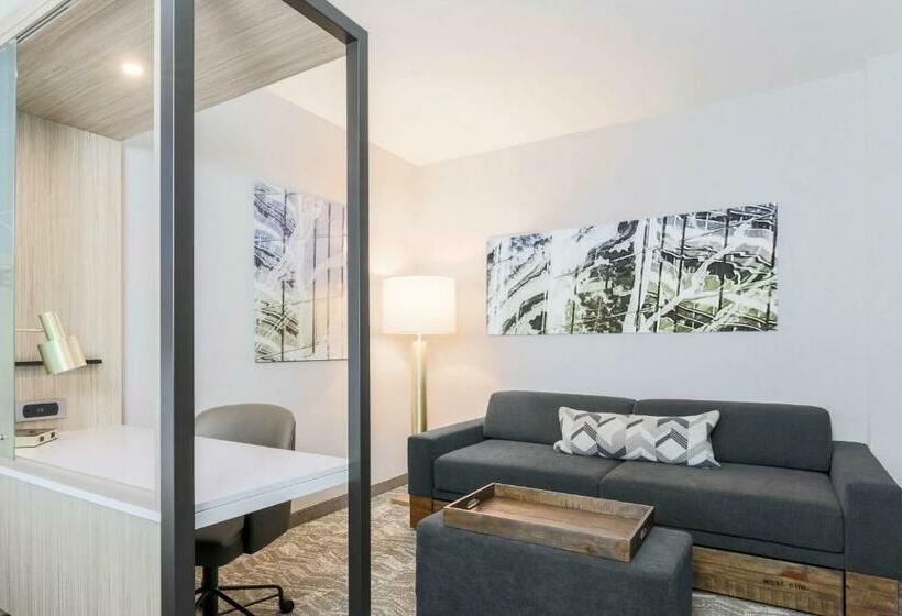 スイート, Springhill Suites By Marriott San Jose Fremont