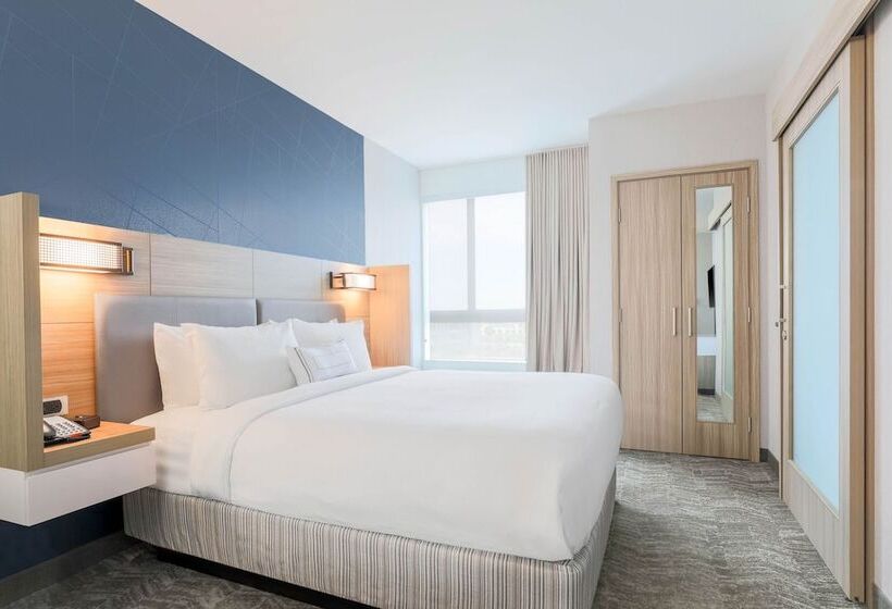 スイート, Springhill Suites By Marriott San Jose Fremont