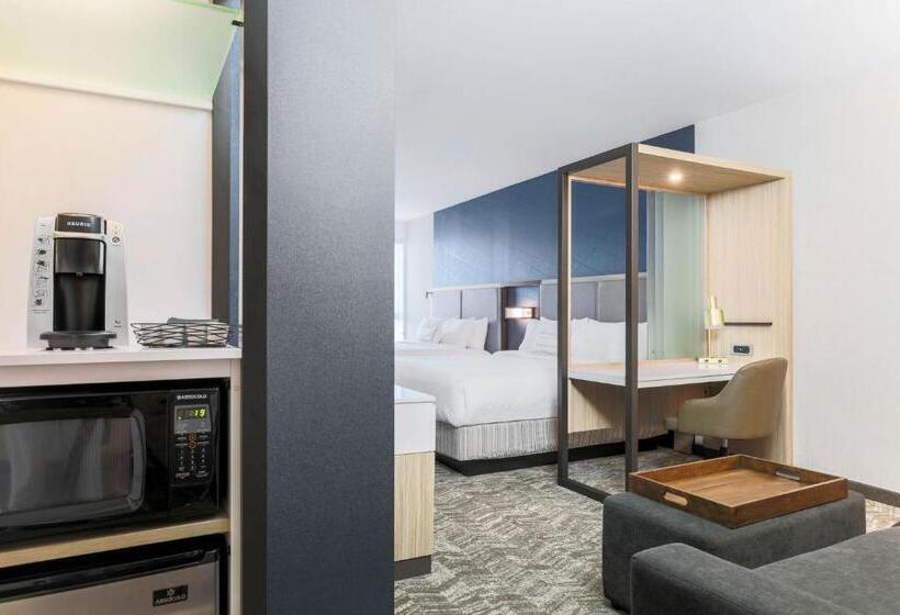 身障者適用スイートルーム, Springhill Suites By Marriott San Jose Fremont