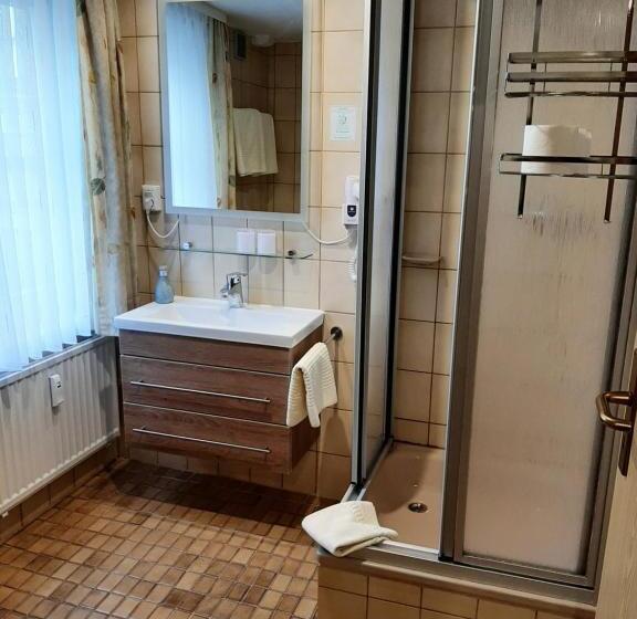 Номер Стандарт, Altstadthotel Garni Frankfurter Hof