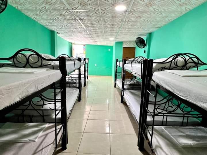 Cama em Quarto Compartilhado, La Casona Del Tayrona