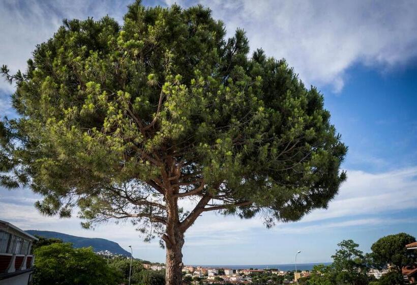 آپارتمان 1 خوابه با بالکن, Balconi Del Conero