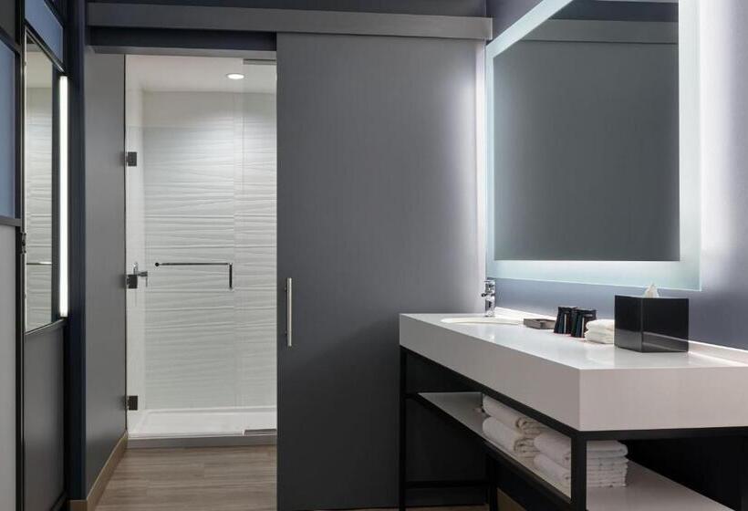 Номер Deluxe Адаптированный для Инвалидов, Aloft Trophy Club Westlake
