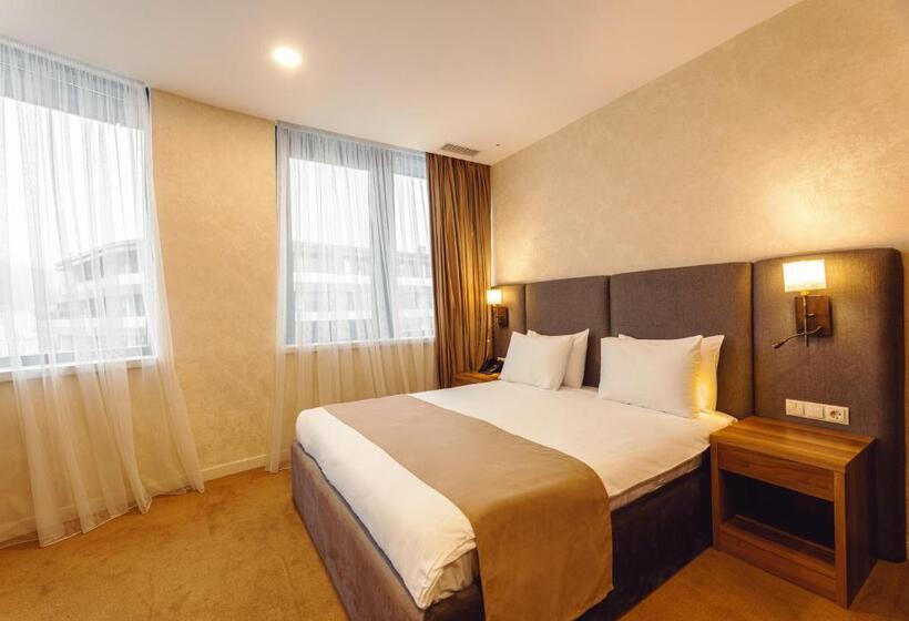 اتاق استاندارد با تخت بزرگ, Meta Business Hotel By King David