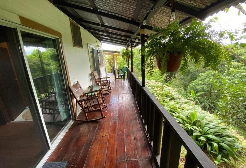 스탠다드 테라스 룸, Birds & Breakfast Costa Rica