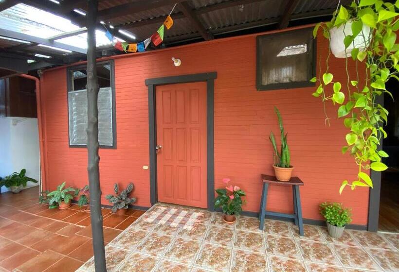 스탠다드 테라스 룸, Birds & Breakfast Costa Rica