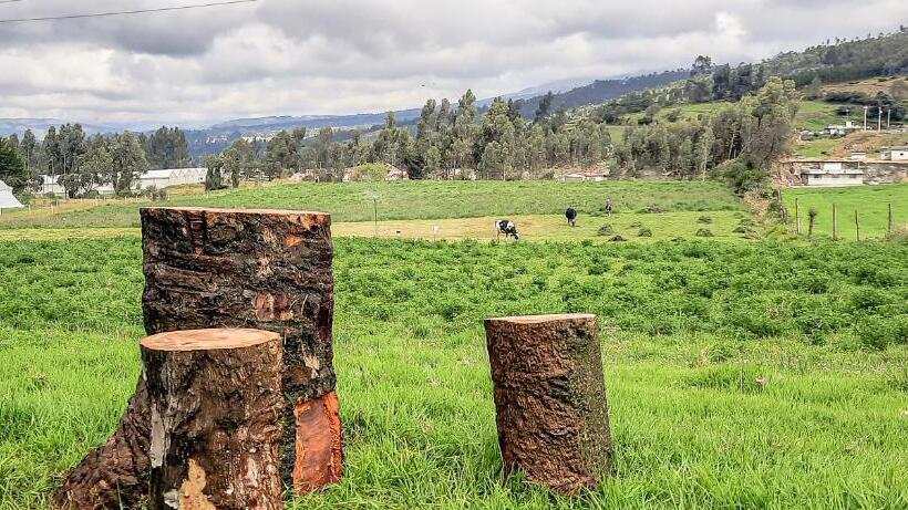 스탠다드 룸, Cuscungo Cotopaxi Hostel & Lodge
