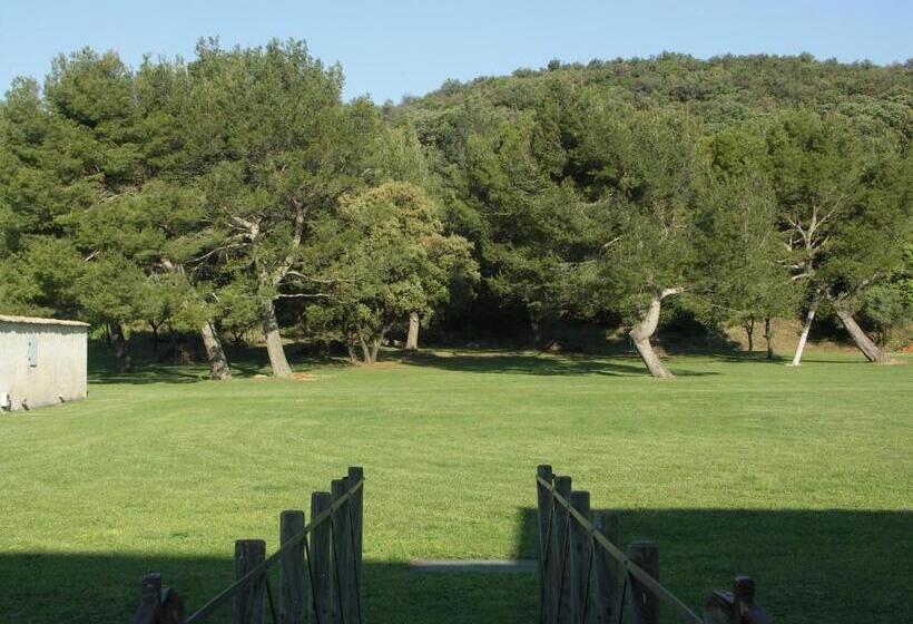 Апартаменты Дюплекс 1 Спальня, Domaine Saint Martin