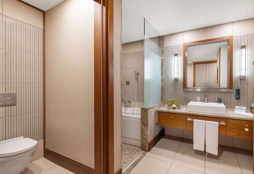 Номер Стандарт Вид на Реку, Hilton Dalaman Sarigerme Resort & Spa
