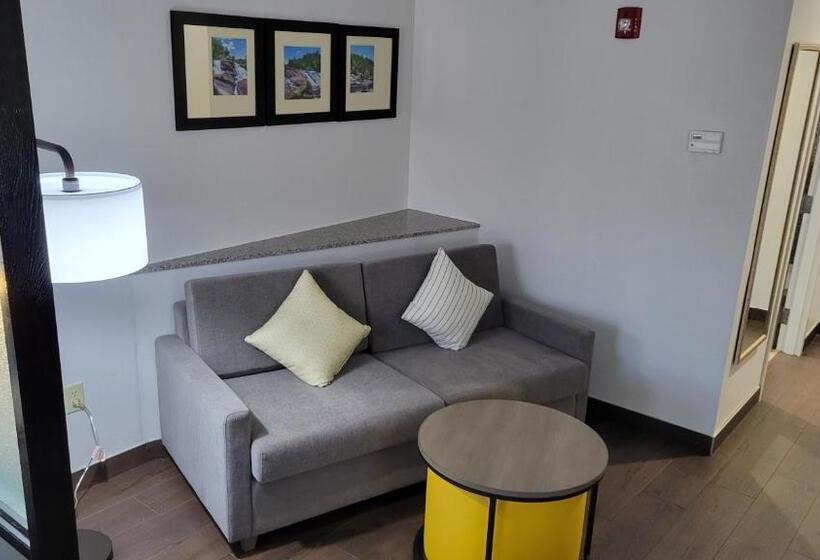 Люкс Адаптированный для Инвалидов, Comfort Suites