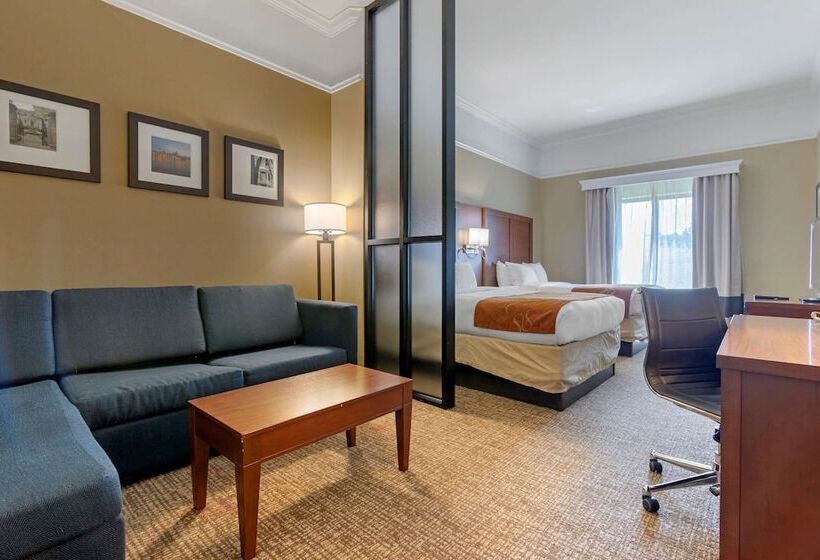 Люкс, Comfort Suites Savannah North