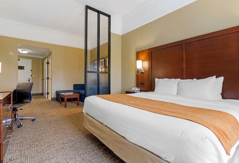 Люкс Кровать Кинг, Comfort Suites Savannah North