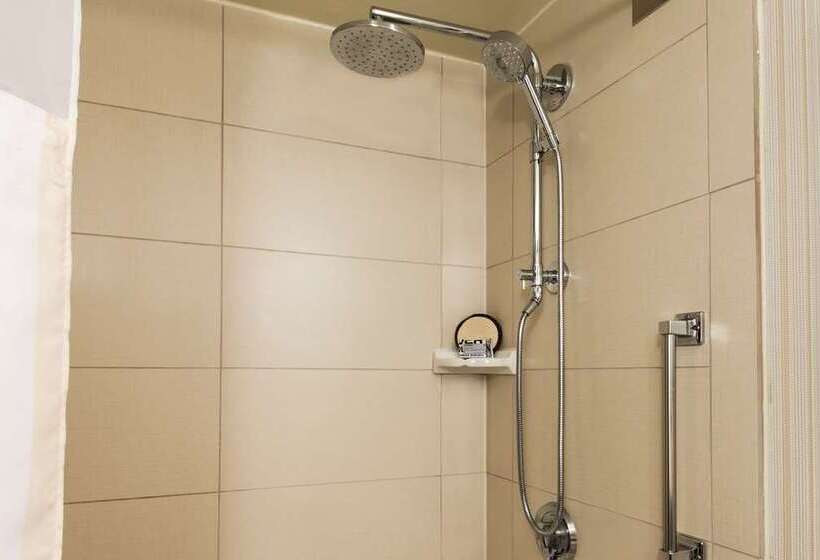 스탠다드 룸 킹사이즈 침대, Hilton Santa Fe Buffalo Thunder