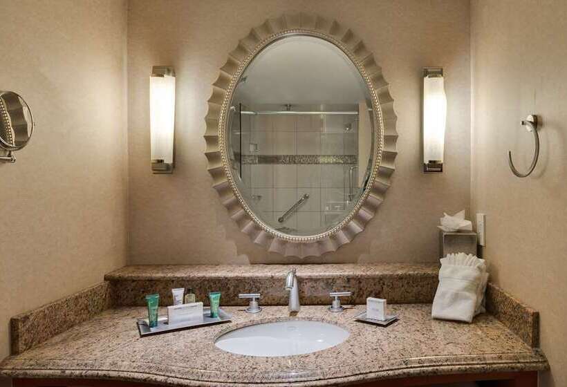 스탠다드 룸 킹사이즈 침대, Hilton Santa Fe Buffalo Thunder