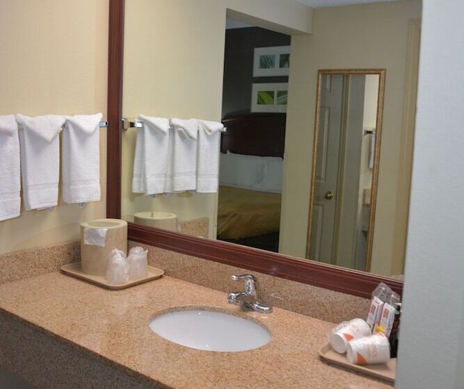 스탠다드 룸 더블 침대 2개, Quality Inn And Suites Dublin