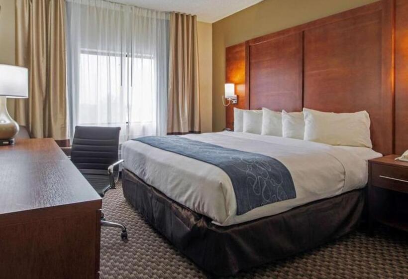 스탠다드 룸, Comfort Inn & Suites Las Cruces Mesilla