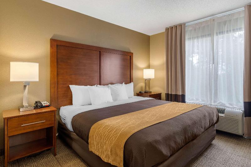 Стандартный Номер Кровать Кинг, Comfort Inn & Suites Peachtree Corners