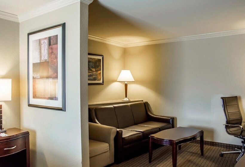 Люкс, Comfort Suites Cincinnati North