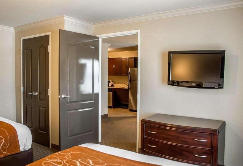 Люкс Адаптированный для Инвалидов, Comfort Suites Cincinnati North
