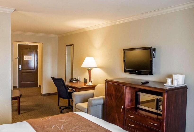 Люкс Адаптированный для Инвалидов, Comfort Suites Cincinnati North