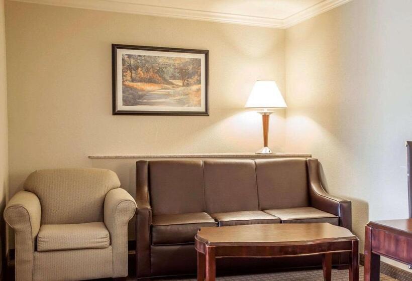 Люкс, Comfort Suites Cincinnati North
