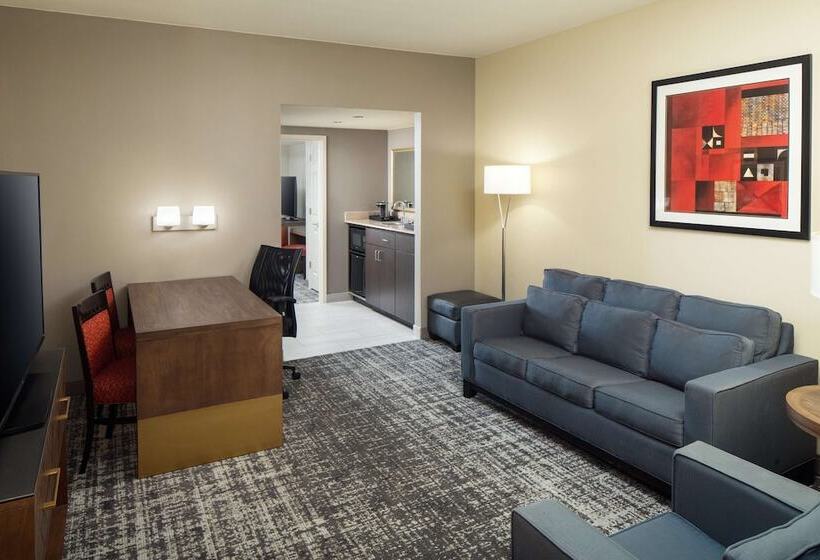 Sviitti, Embassy Suites By Hilton Laredo