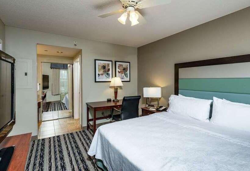 Sviitti King-vuode, Embassy Suites By Hilton Laredo
