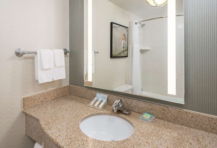 Номер Стандарт, Hilton Garden Inn Scottsdale North/perimeter Center