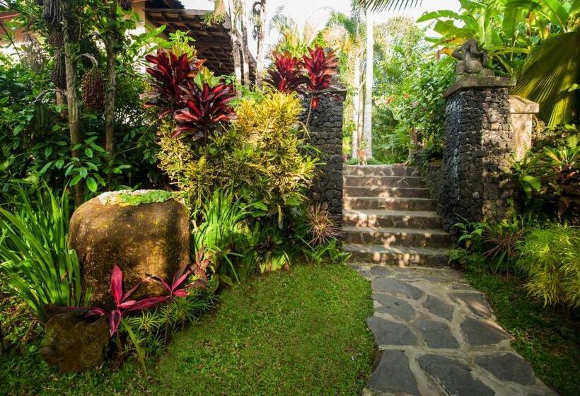 デラックスルーム, Beji Ubud Resort