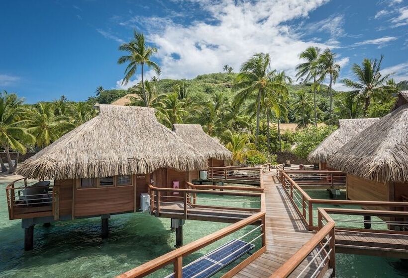 بانگلوی استاندارد, Maitai Bora Bora