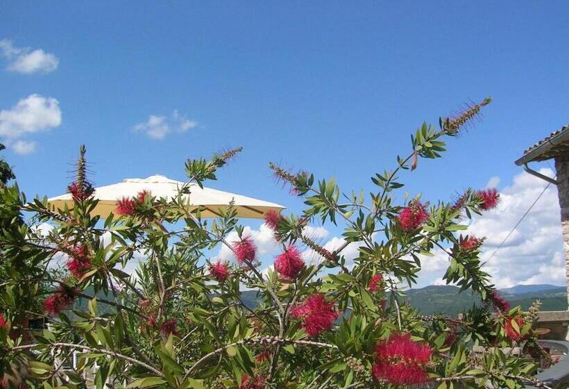 침실 1개 아파트, B&b La Terrazza Del Subasio