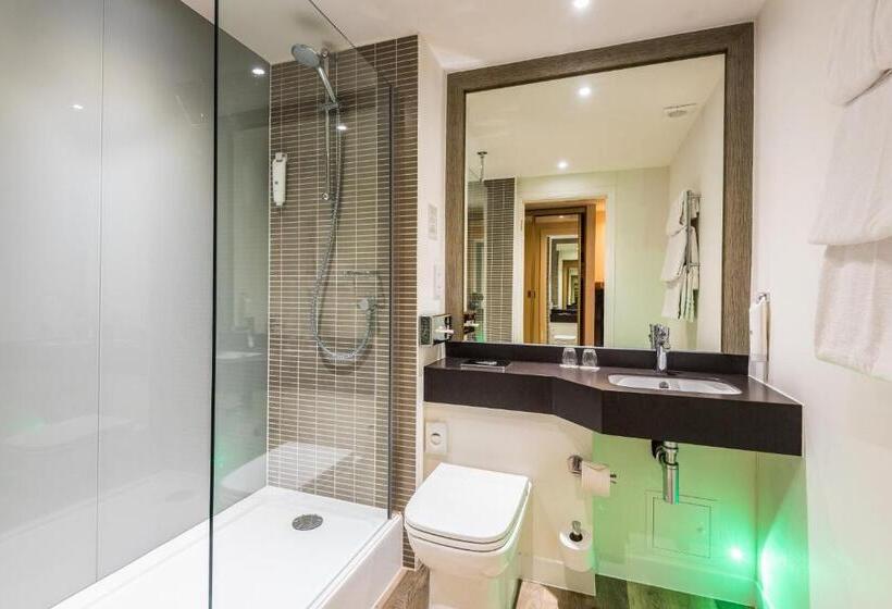 Номер Стандарт Индивидуальный, Holiday Inn Rotherham Sheffield M1,jct.33, An Ihg