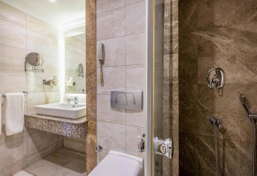 Standard Room, Elite Hotel Dragos